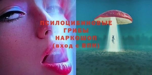 стафф Вяземский