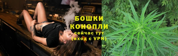 хмурый Горняк