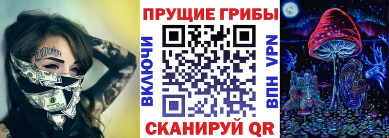 Псилоцибиновые грибы Psilocybe  Купить  Клин 