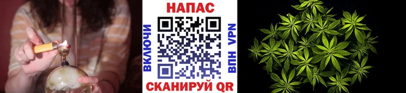 Каннабис семена  Купить где  Клин 